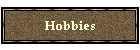 Hobbies